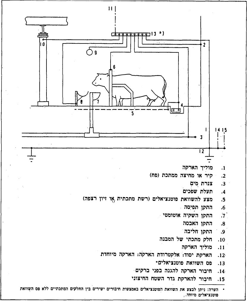 איור או נוסחה מתוך המסמך